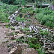Itinerario nel Parco del Cilento e Vallo di Diano